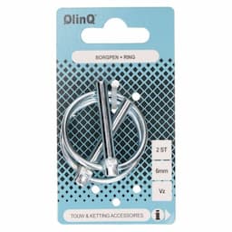 Borgpen met ring 6mm verzinkt afbeelding 2