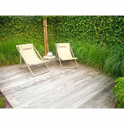 RVS vlonderschroef / Hardhoutschroef 5.0 x 60mm kleinverpakking Torx-25 afbeelding 5