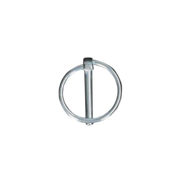 Borgpen met ring 6mm verzinkt